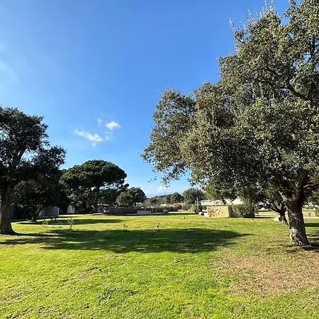 شقة T3 Terra Fiori Di Cala Rossa *